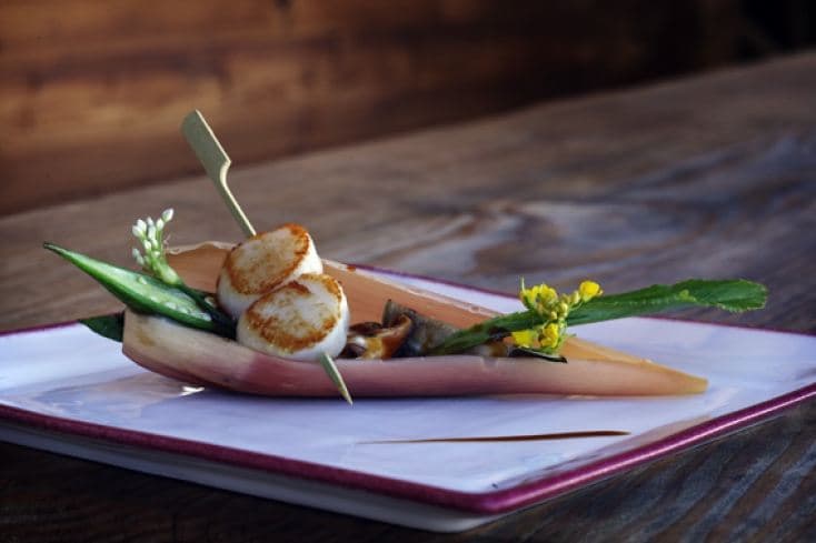 Scallops