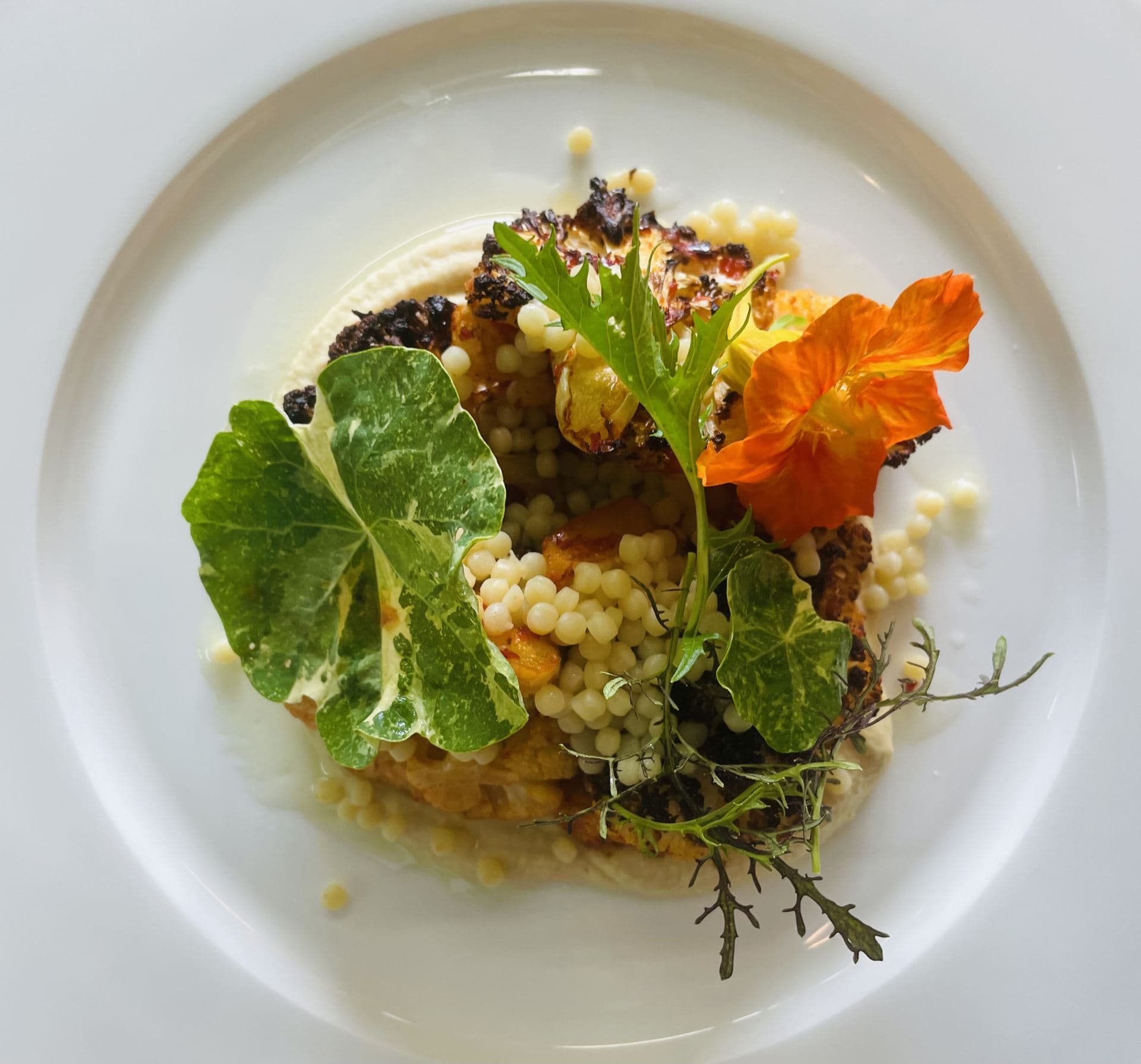 Vegetarian Harissa