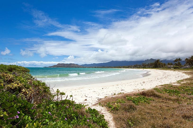 Villa Plantation Paradise Point — luxury villa photo 19