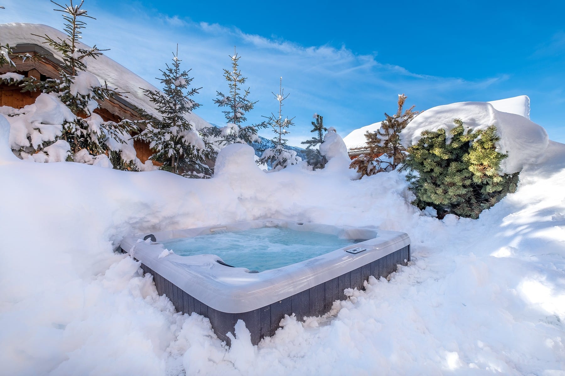 CHALET ZEBRA LODGE — luxury villa photo 2