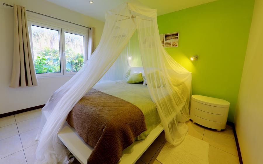 Villa Raisiniers — luxury villa photo 2