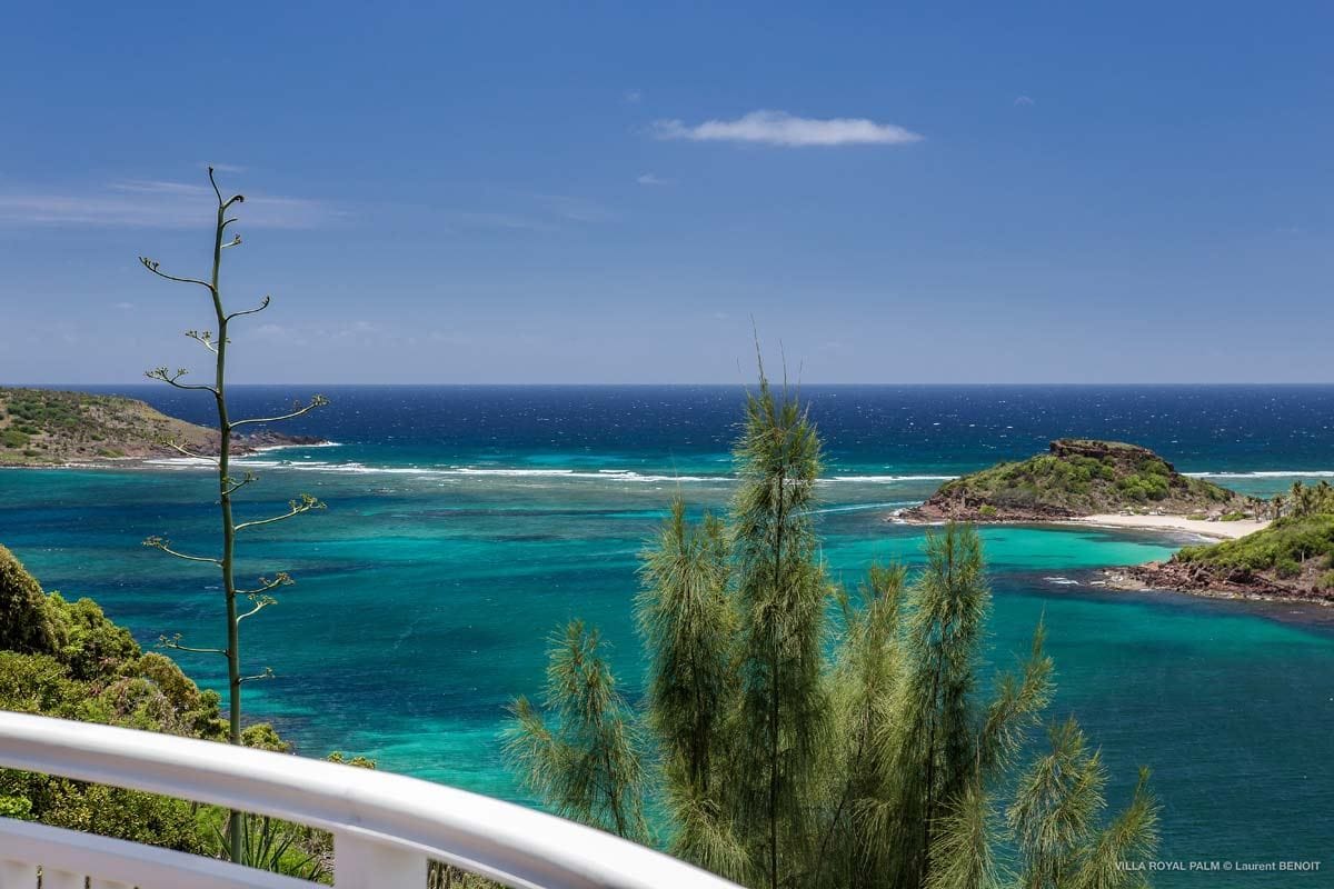 Villa Palmier Royal — luxury villa photo 1