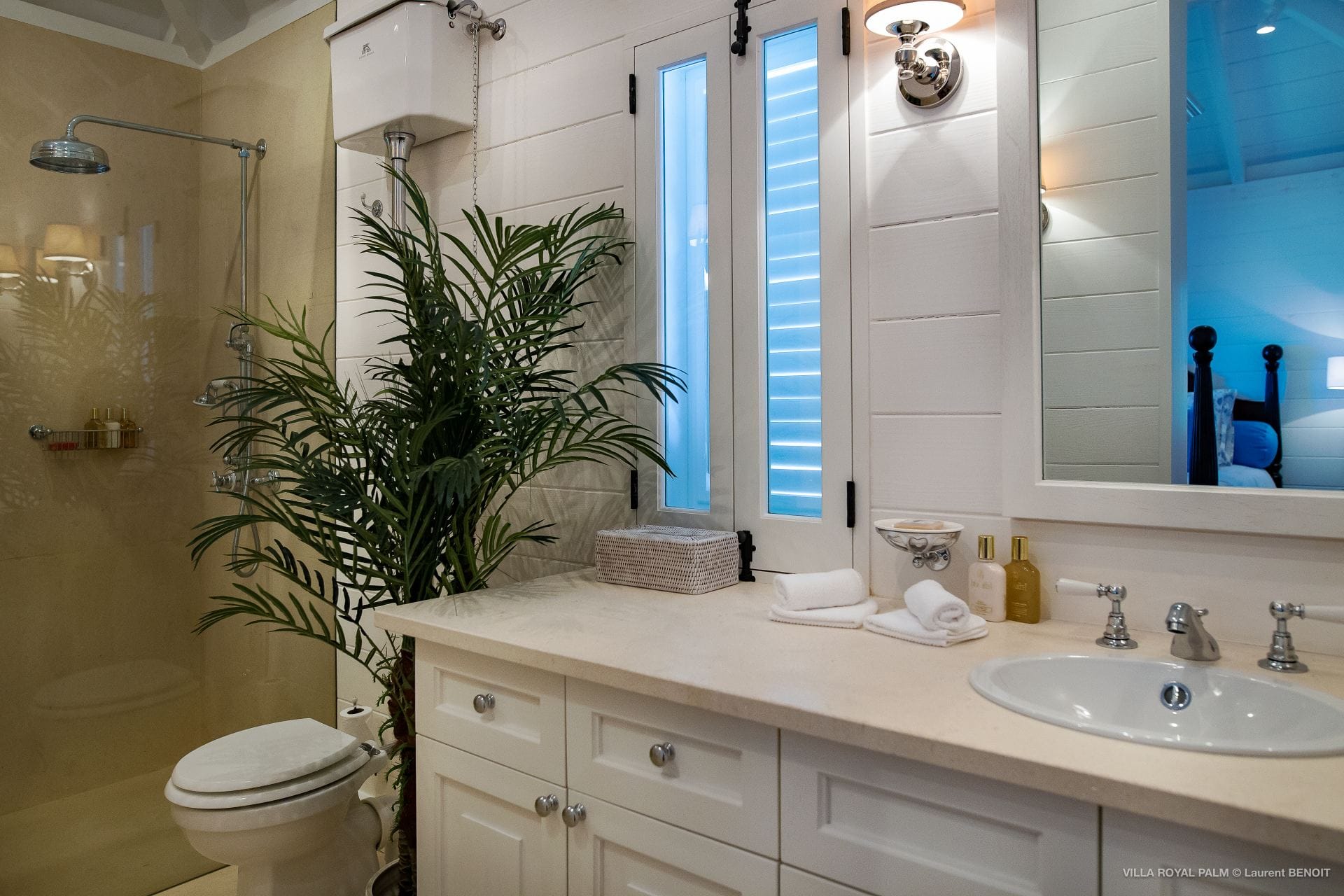 Villa Palmier Royal — luxury villa photo 66