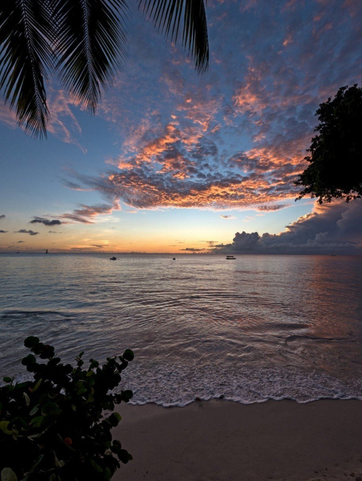 Mahogany Bay-Seashells — luxury villa photo 18