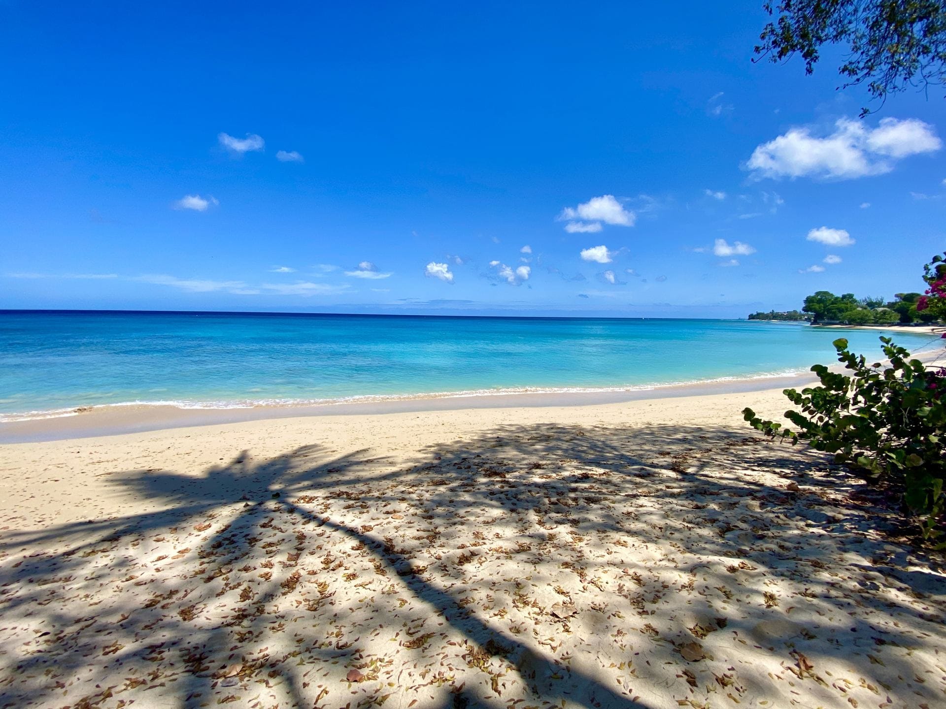 Villa Seascape Gibbs Beach — luxury villa photo 1