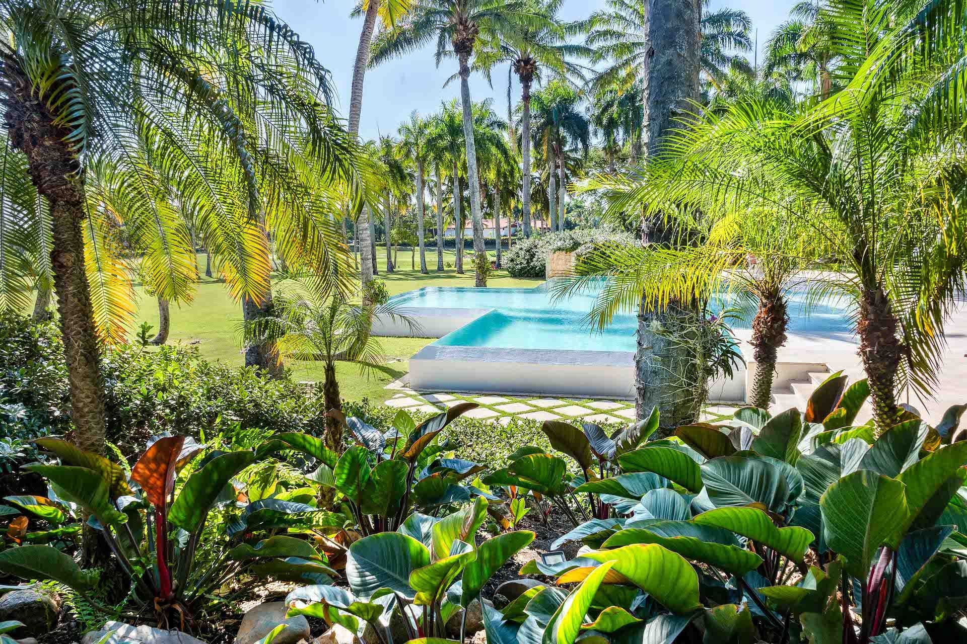 El Palmar — luxury villa photo 2