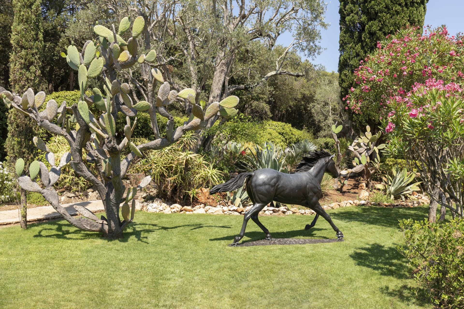 Le Grand Jardin — luxury villa photo 59