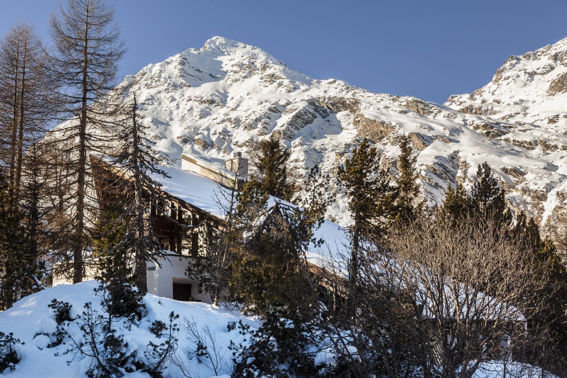 Casa Leopardo — luxury villa photo 1