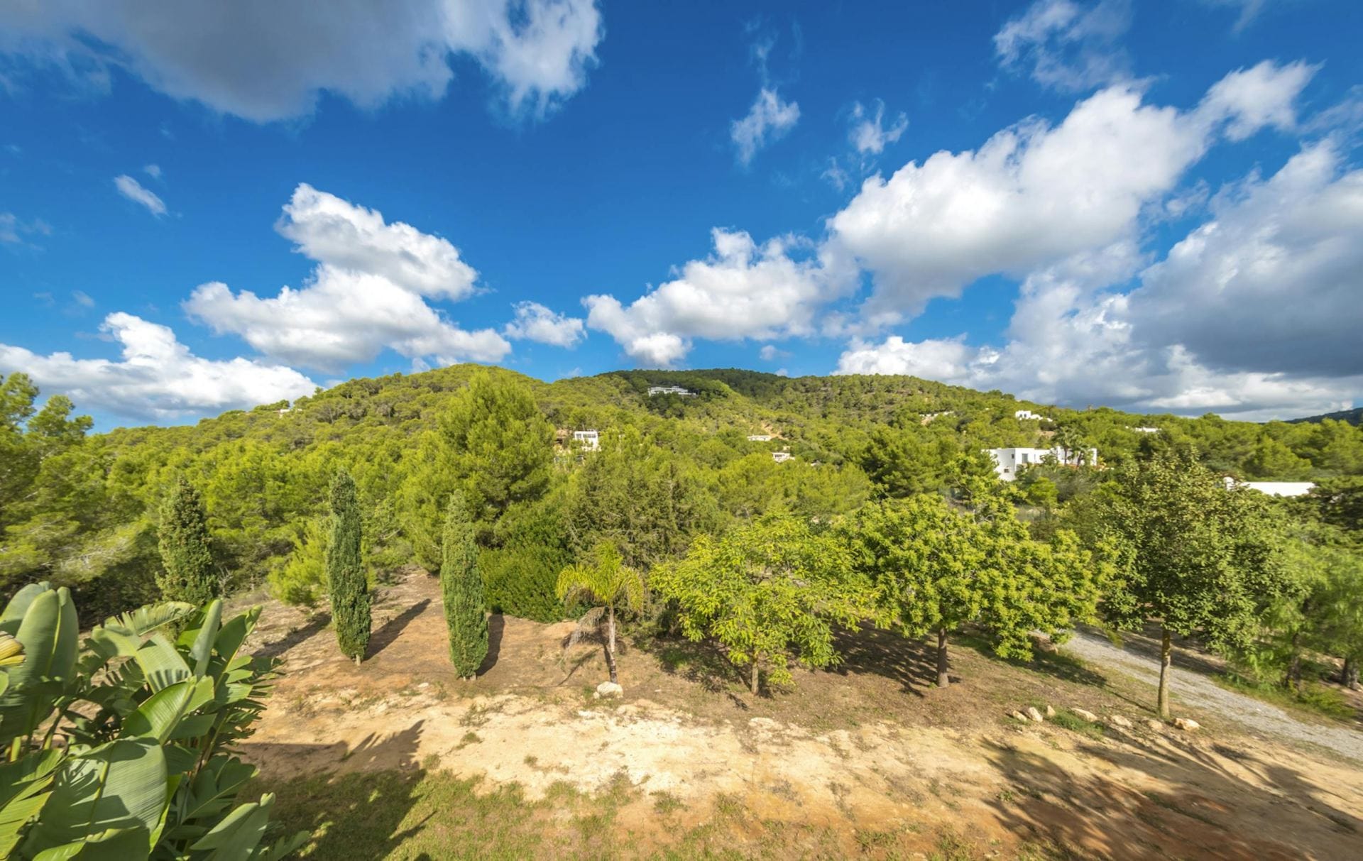 Estrella Azul — luxury villa photo 48