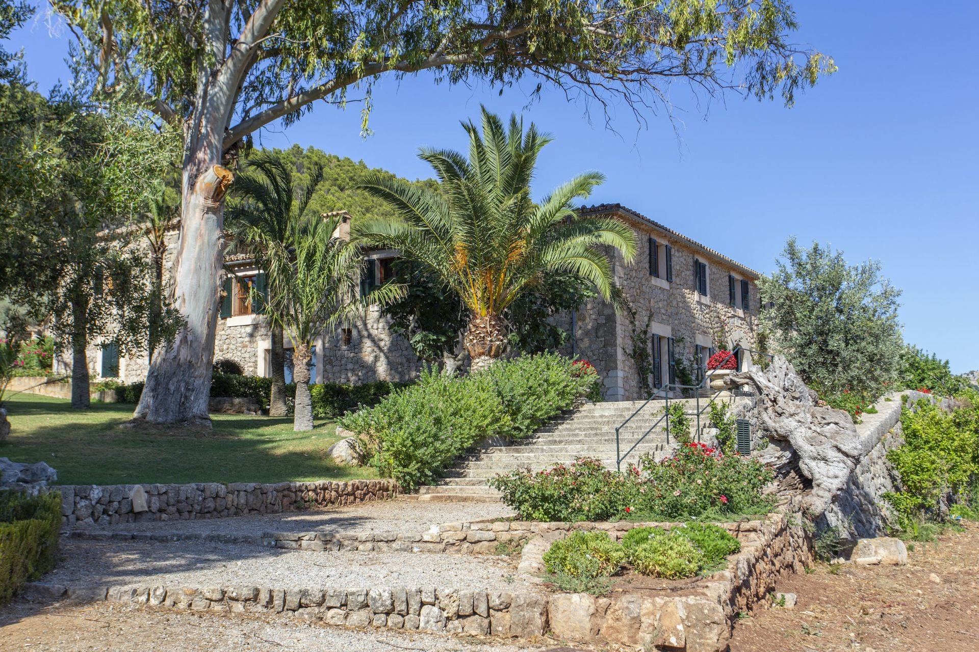 La Sonrisa — luxury villa photo 77
