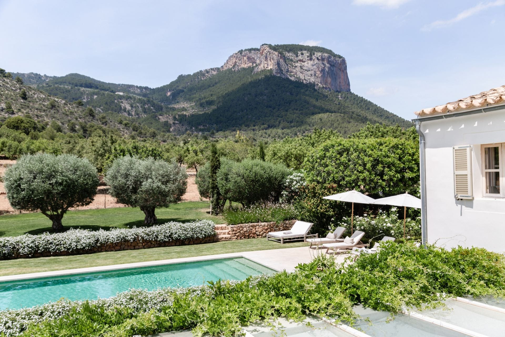 Finca Romina — luxury villa photo 1