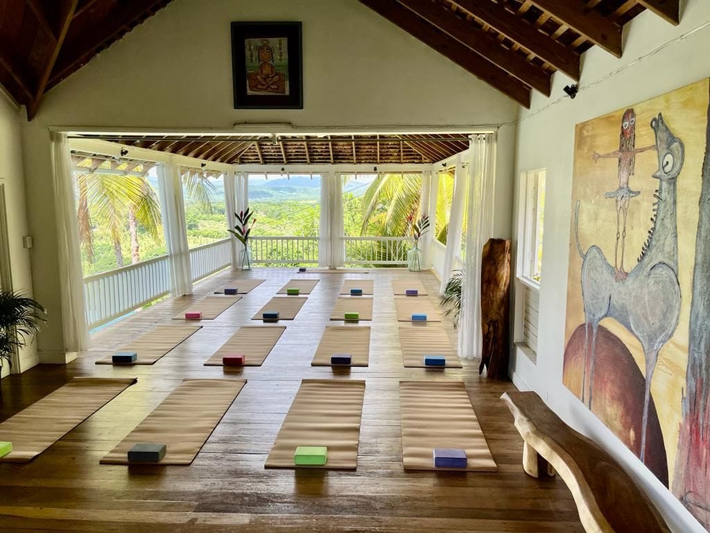 Good Hope Jamaica — luxury villa photo 82