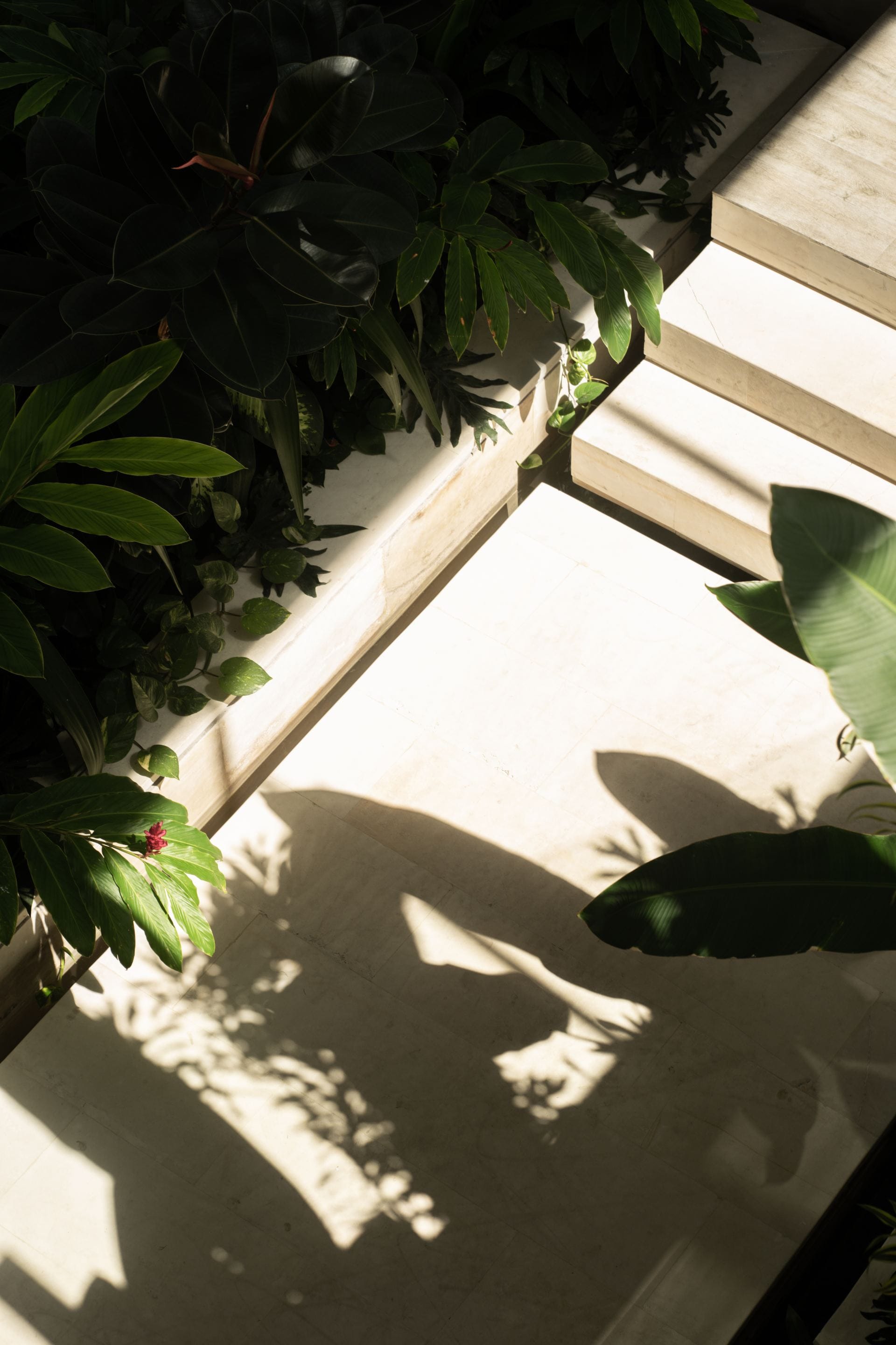 Villa Arita — luxury villa photo 2