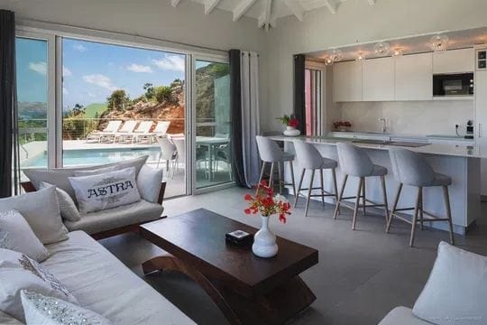 Astra Estate — luxury villa photo 2