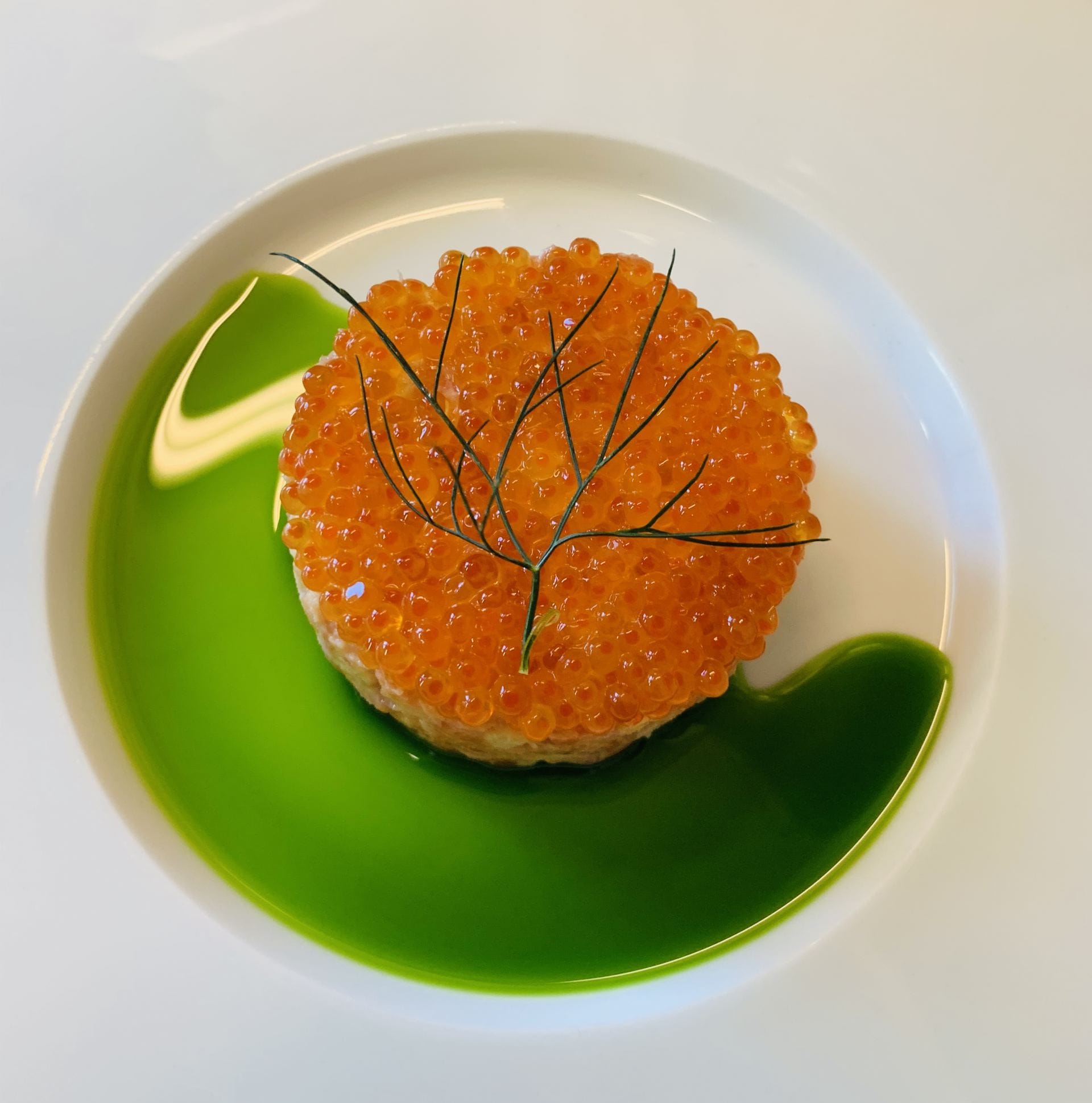 Menu showcase — photo 2