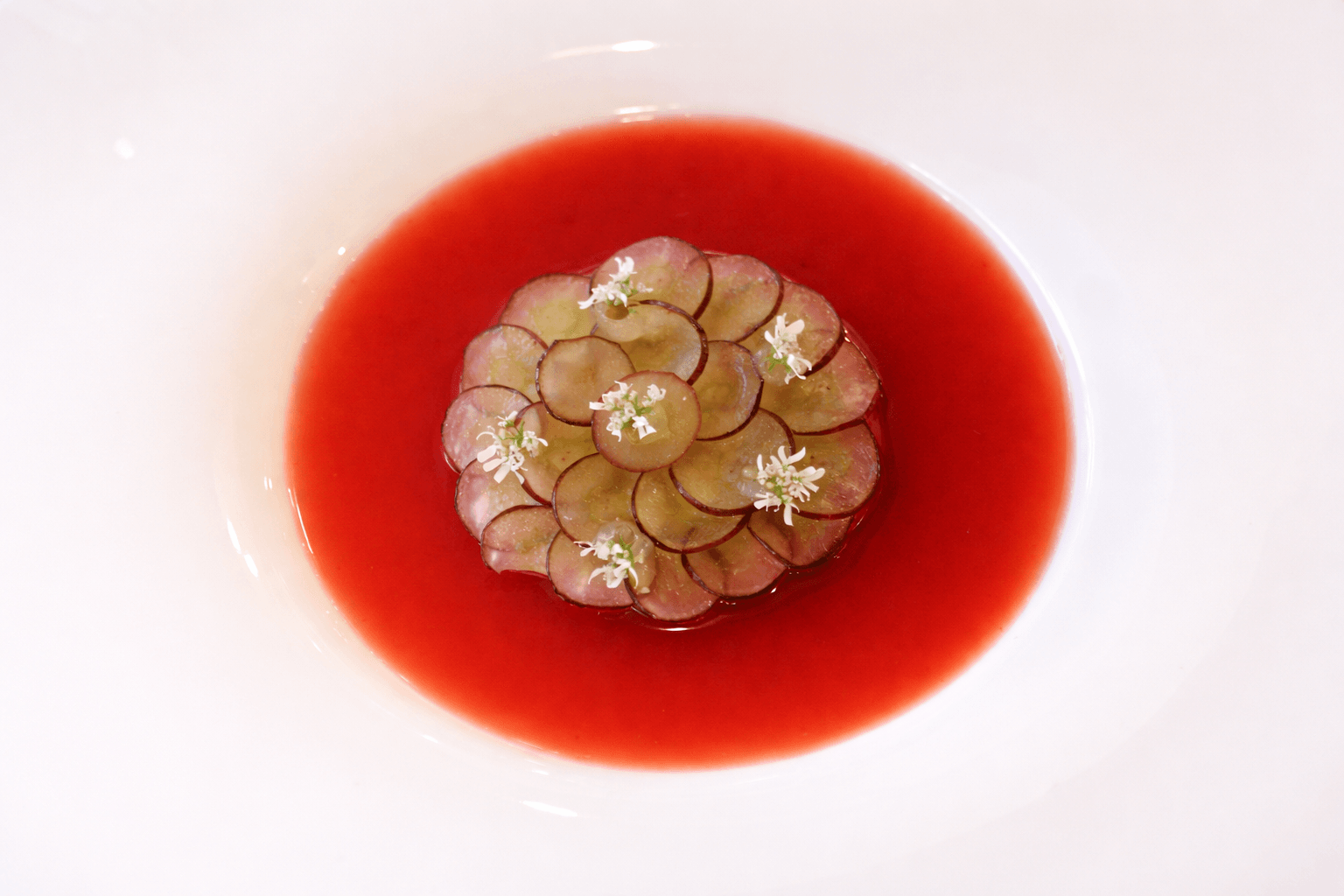 Culinary portfolio — photo 18