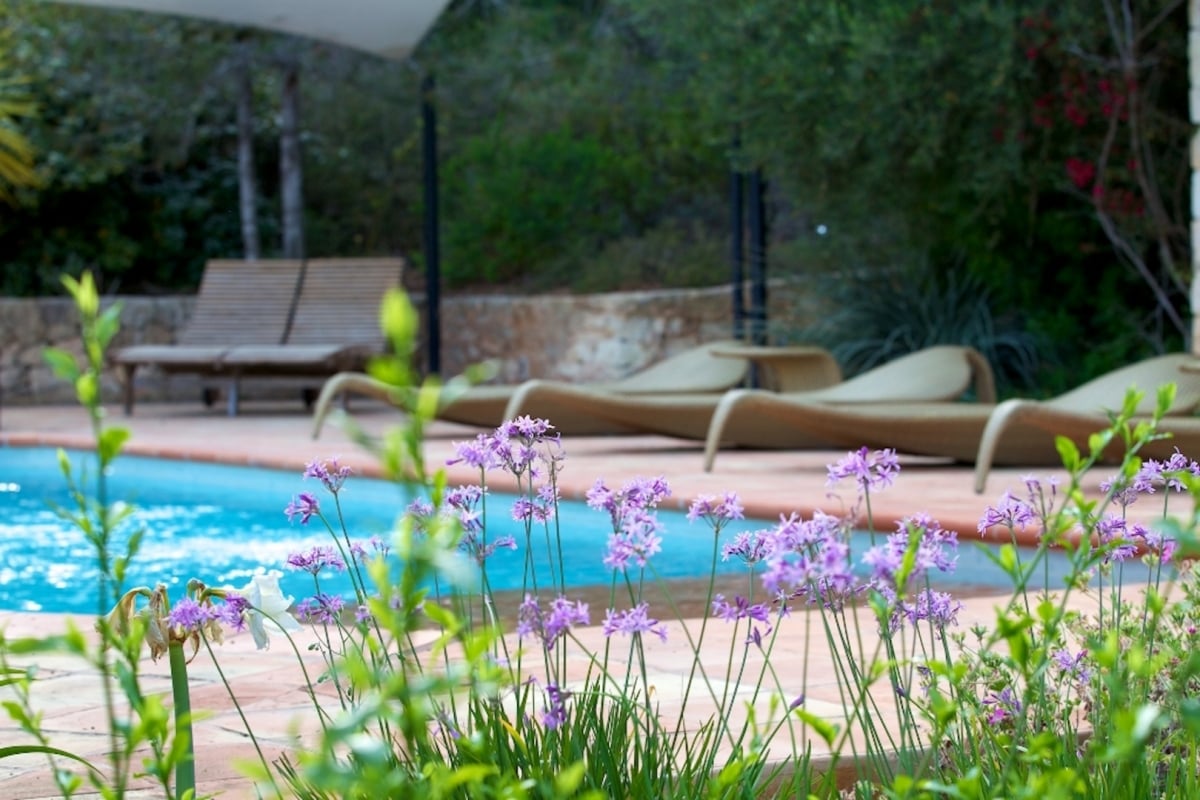 Casa Jardin - Image 1