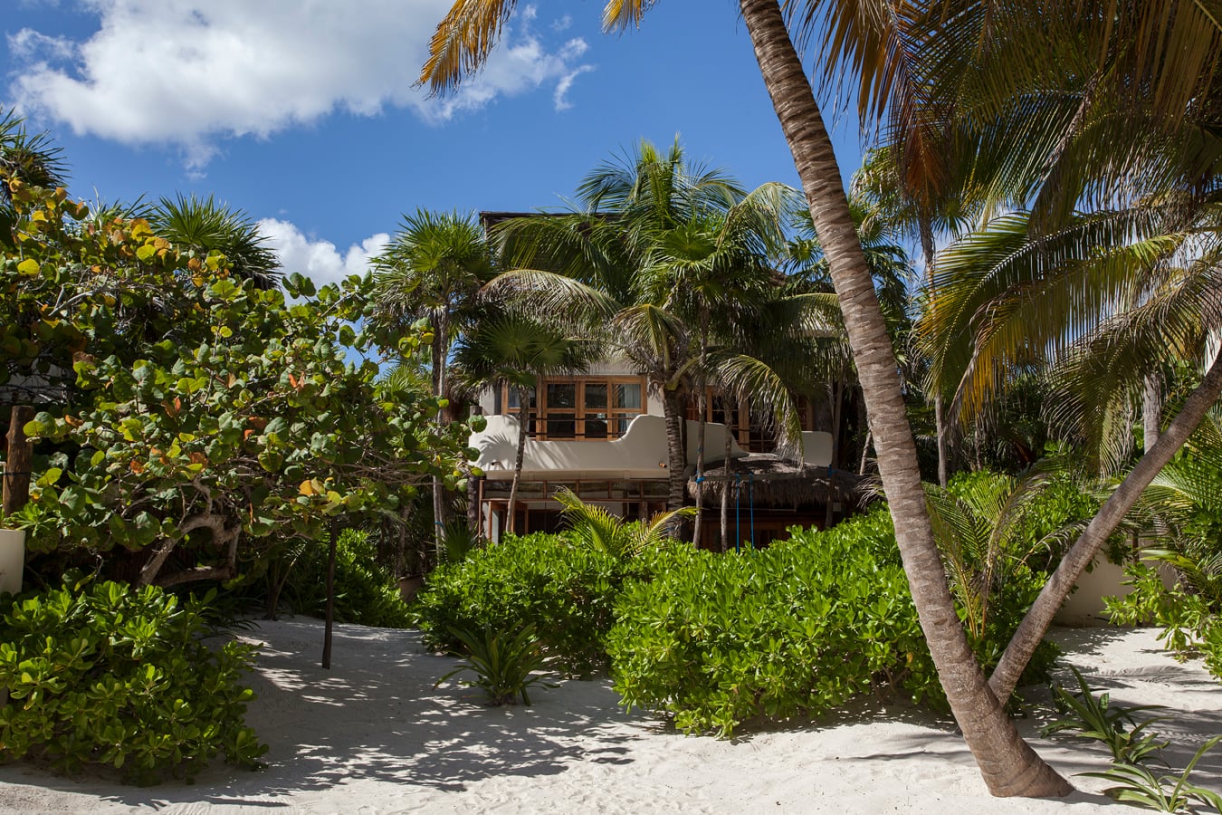 Casa de las Palmas - Image 1