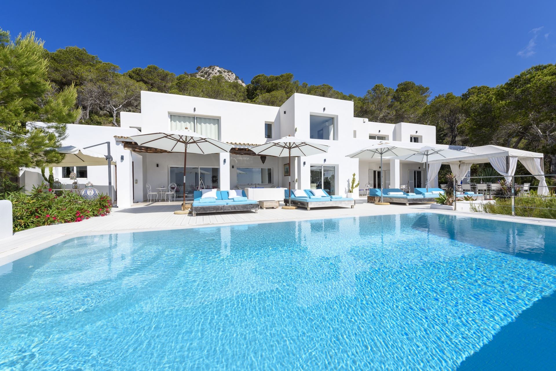 House Pearl - Image 1