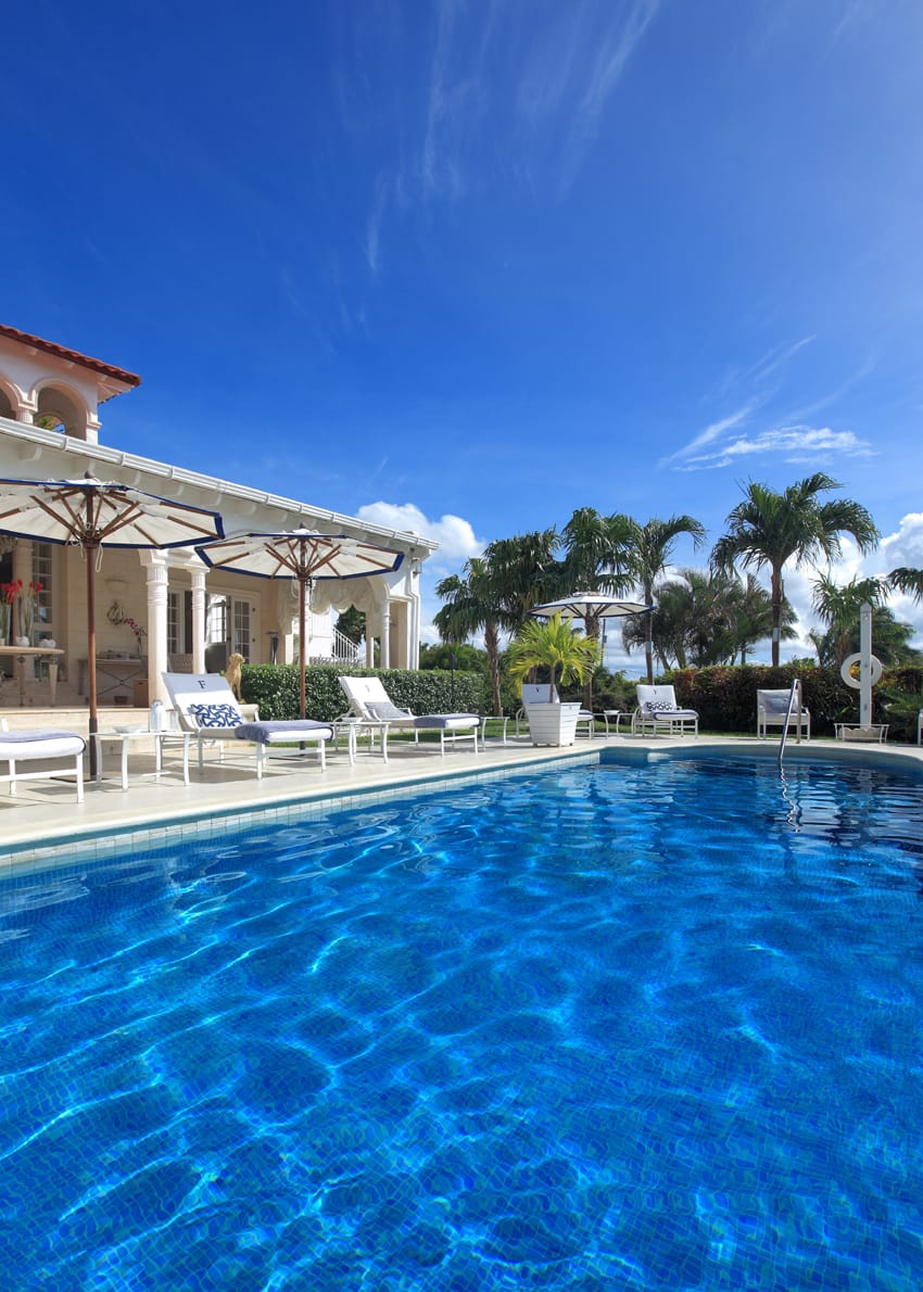 The Monkey Puzzle Villa — luxury villa photo 1
