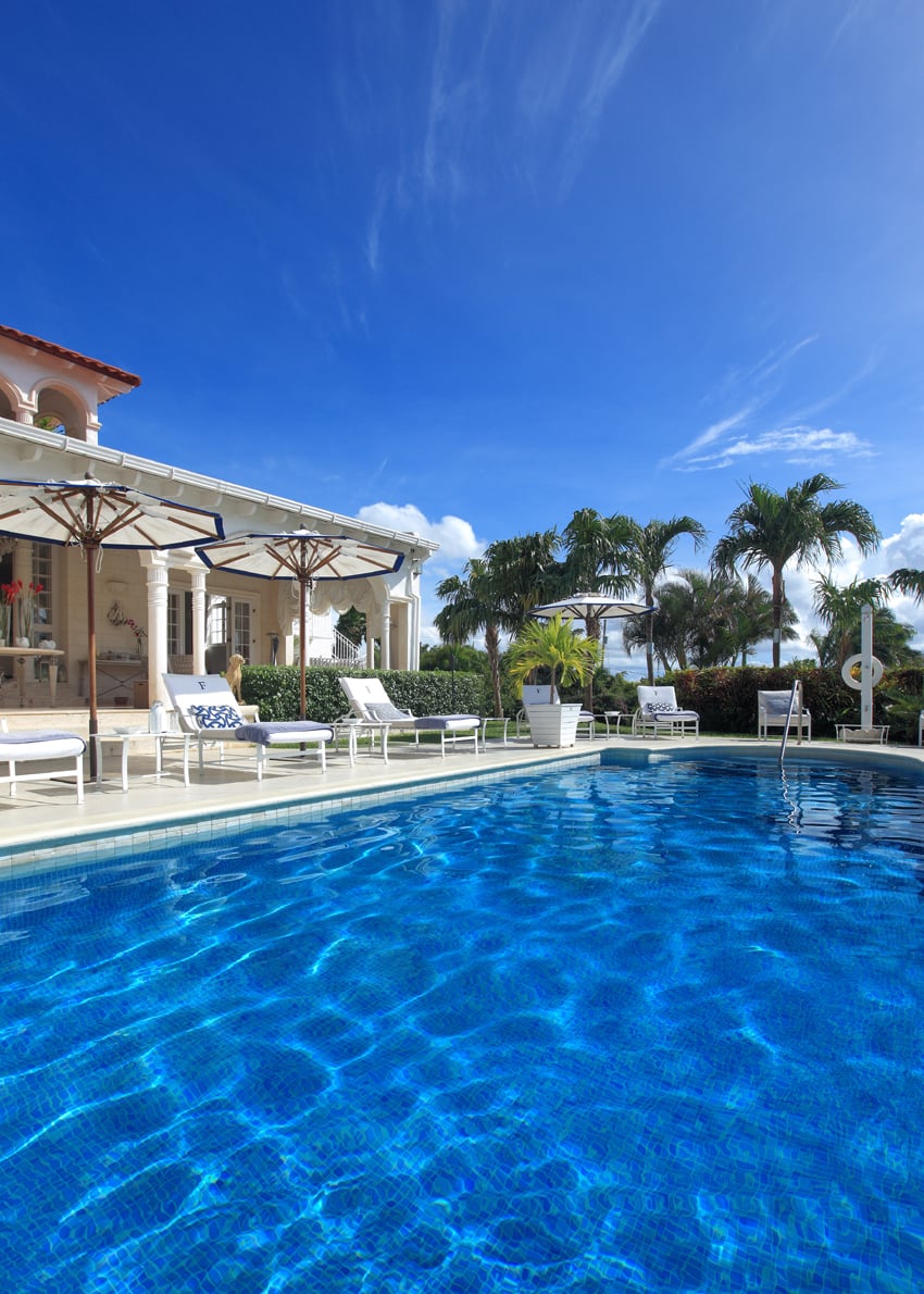 The Monkey Puzzle Villa - Image 1