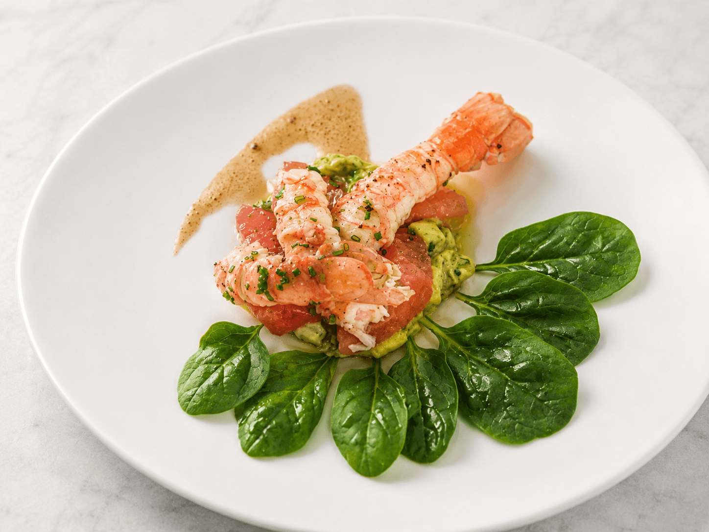 Avocat Langoustine